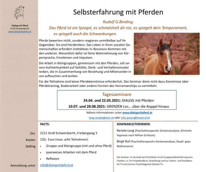Ausschreibung Web